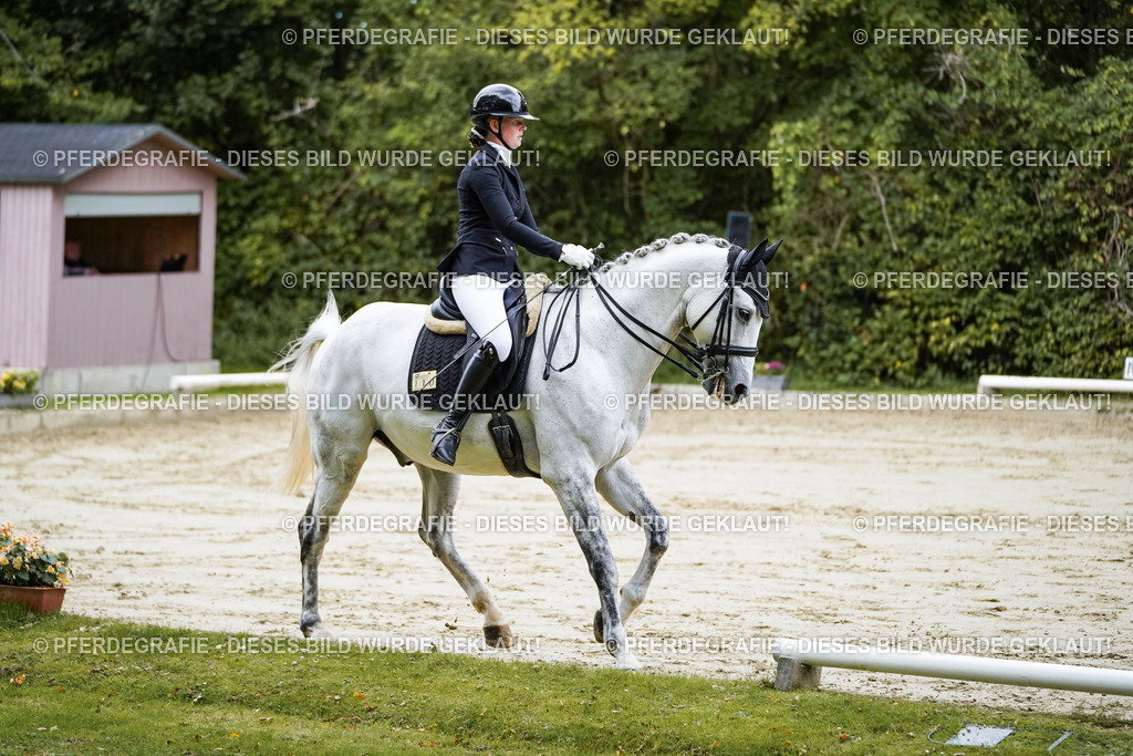 DSC08577 | Pferdegrafie