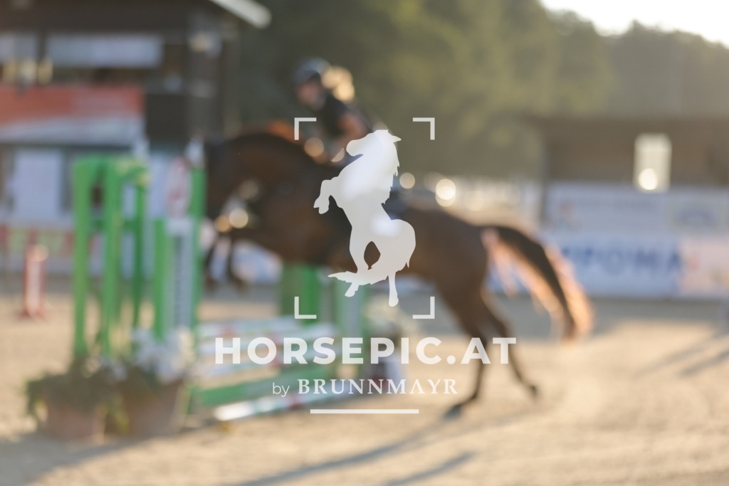 0P6A6524 | Willkommen bei Brunnmayr - Design & Fotografie – Ihrem Spezialisten für Reitturniere und Pferdeveranstaltungen in Oberösterreich, Salzburg und Bayern! Seit über 17 Jahren sind wir leidenschaftlich dabei.