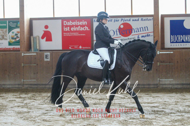 DKP44647 | Turniersportfotografie; Pferdefotografie; Dressurfotografie