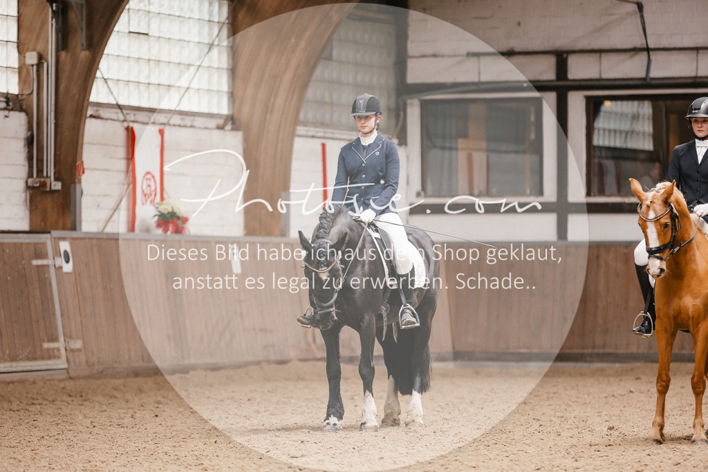 3I6A7974 | Stimmungsvolle Portraits und Reitsportfotografie im Ruhrgebiet und im Münsterland.

Pferdefotografie, Hundefotografie, Tierfotografie, Reportagen, Portraits von Tier und Mensch, Turnierfotografie in Bochum, Recklinghausen, Marl, Haltern am See, Dülmen.. - Realisiert mit Pictrs.com