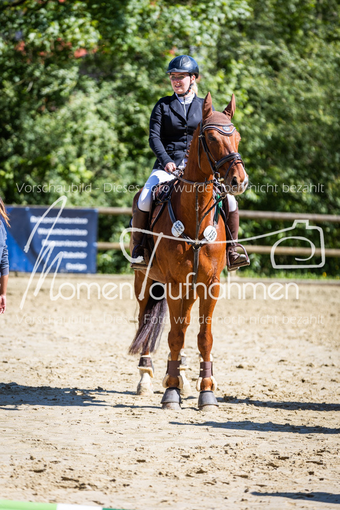 Donop24-A2Spr-196 | MomenTaufnahmen Pferdesportfotos