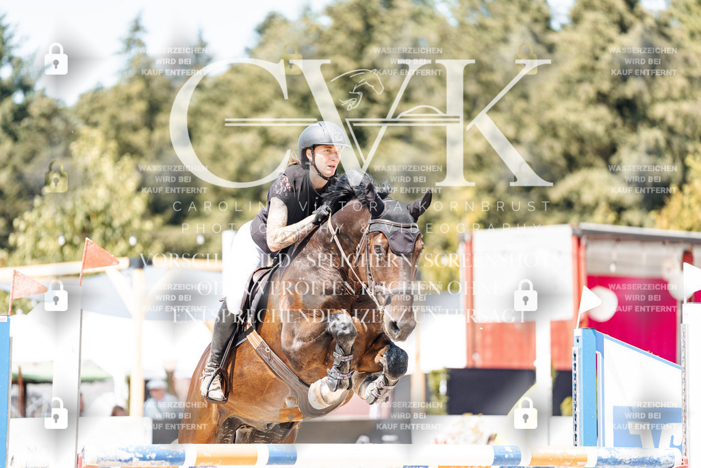 CK901030 | Turnierfotografie Pferdefotografie Trier Rheinland-Pfalz Pferdesport Reitsport Tierfotografie Sportfotografie Pferdevideo Pferdevideografie Equestrianvideography equestrianphotography  - Realisiert mit Pictrs.com