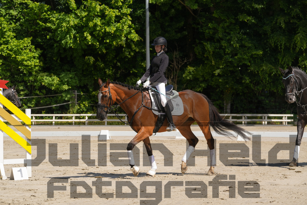 DSC03199 | Julian Held Fotografie - Realisiert mit Pictrs.com