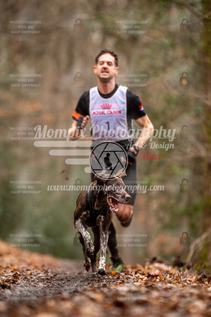 SPA_2023_DIM_CCL-1 | PayLife