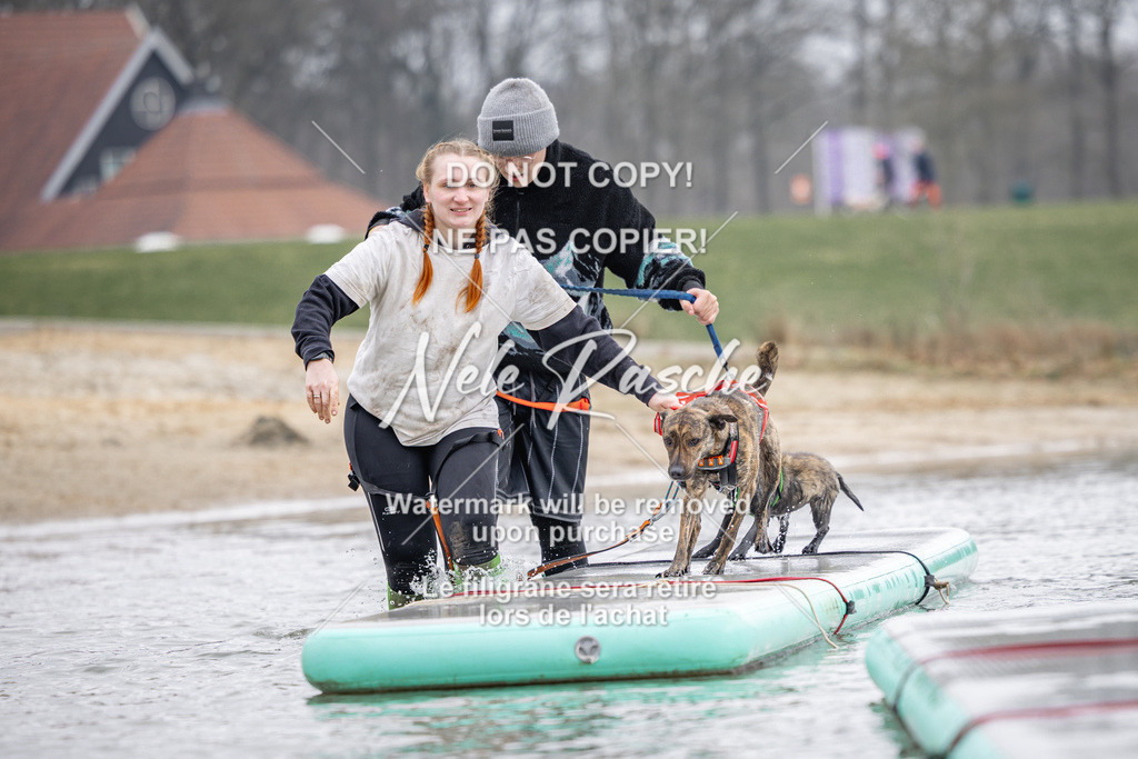 nelerasche_Hulsbeek_Sa1230-1330_170 | nelerasche