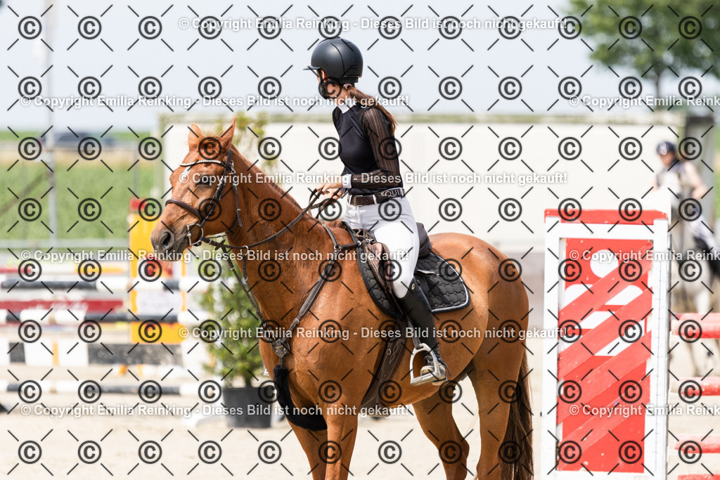 CL5A3942 | Emilia Reinking Fotografie - Realisiert mit Pictrs.com