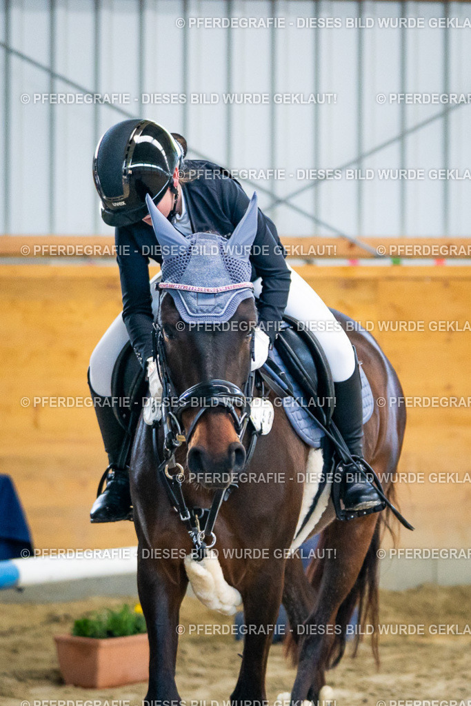 DSC00930 | Pferdegrafie