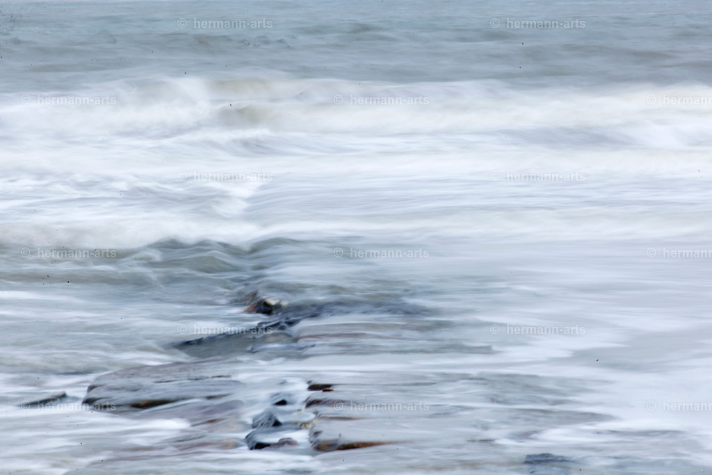 Nature-Arts-037 | Photo Foto Kunst Art schwarzweiss Bilder Rheine Münster Berlin Blumen 