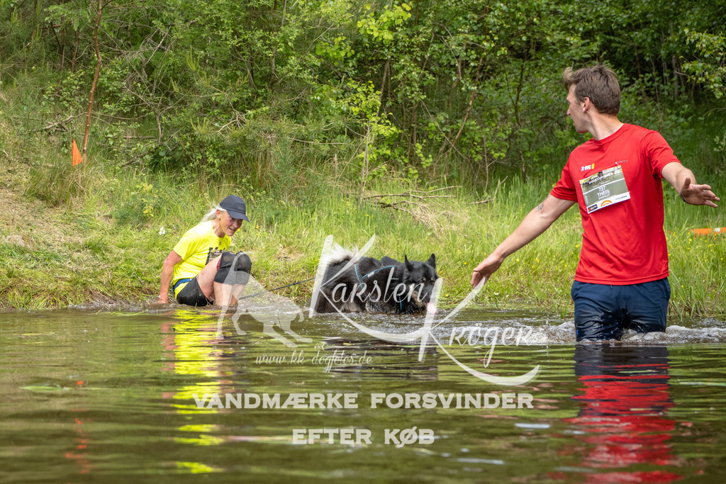 1029DKK992593 | kk-dogfotos