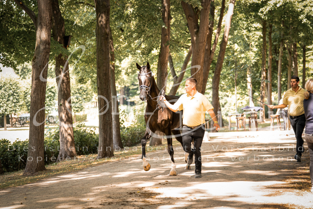 FrPfM00233 | Leoni Ertmer Photography - Realisiert mit Pictrs.com