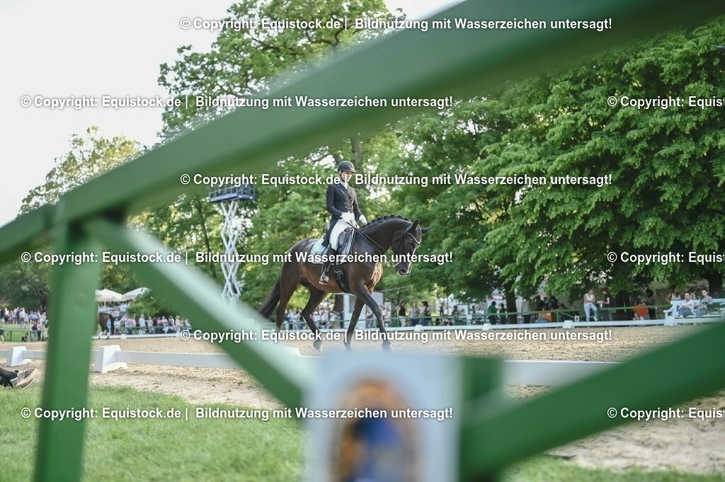 D78_3821 | equistock