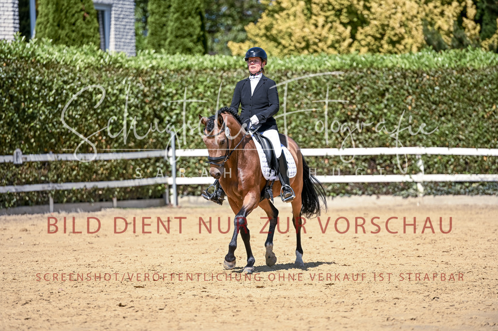 Schugtsche-Aluta25-49.Dressurpferdeprf.A-414 | Schugtsche Fotografie - Realisiert mit Pictrs.com