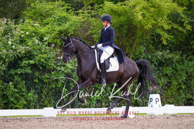 DKP41681 | Deine Turnierfotos vom Reitturnier online kaufen: Dressur, Springen & Siegerehrung. Professionelle Pferdefotografie aus dem Rheinland – als Download & Print.Alternative: Turnierfotograf für den Pferdesport: Finde deine Fotos von Dressur- und Springturnier