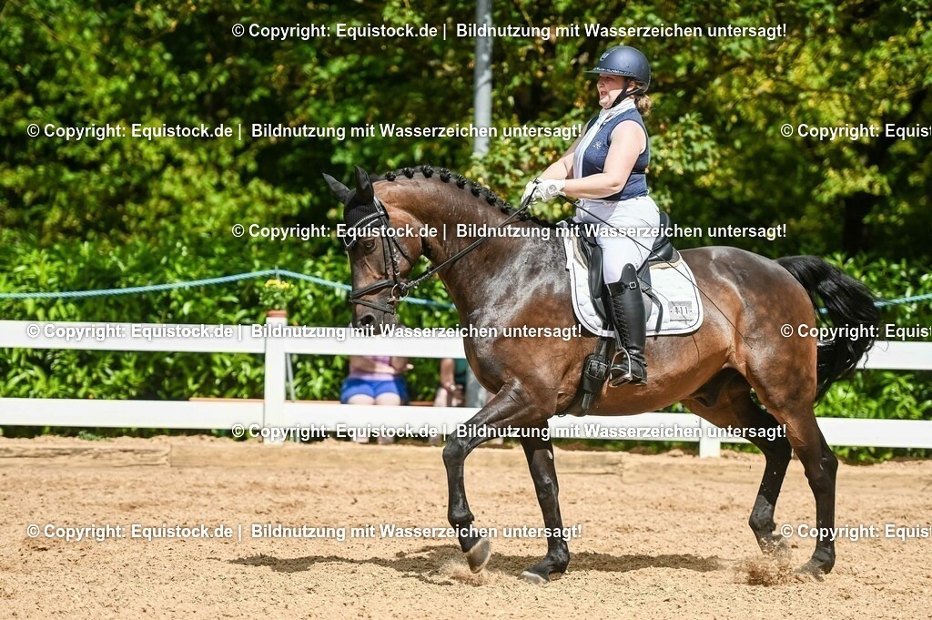 20230715_02_Dressurreiterprüfung Kl.L_0378 | equistock