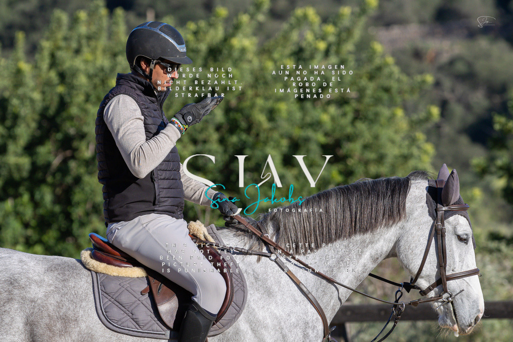 IMG_2201 | s-jay-photography - Realisiert mit Pictrs.com