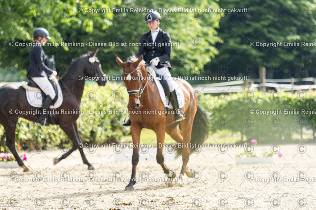 CL5A4302 | Emilia Reinking Fotografie - Realisiert mit Pictrs.com