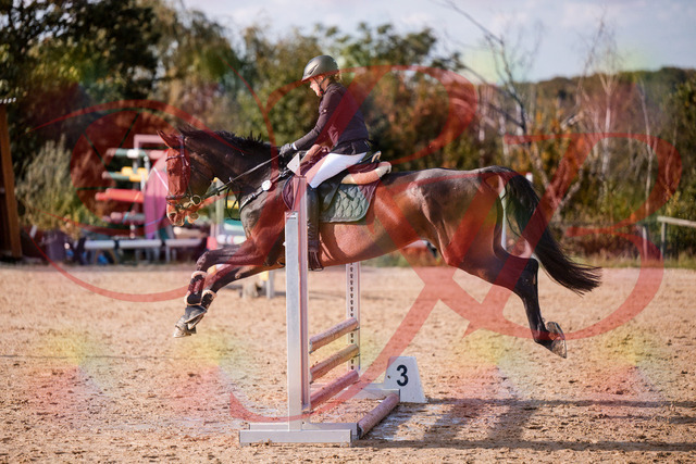 2026_10_03_Siefer-Hof_155937_Z81_79802046 | Professionelle Reitsport-, Turnier- und Eventfotografie von Robert Broda. Galerien mit ausgewählten und bearbeiteten Bildern direkt online ansehen und bestellen.