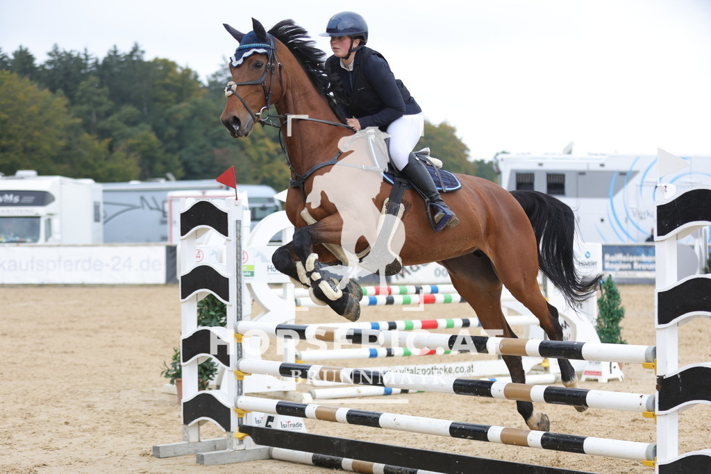 0P6A2397 | Willkommen bei Brunnmayr - Design & Fotografie – Ihrem Spezialisten für Reitturniere und Pferdeveranstaltungen in Oberösterreich, Salzburg und Bayern! Seit über 17 Jahren sind wir leidenschaftlich dabei.