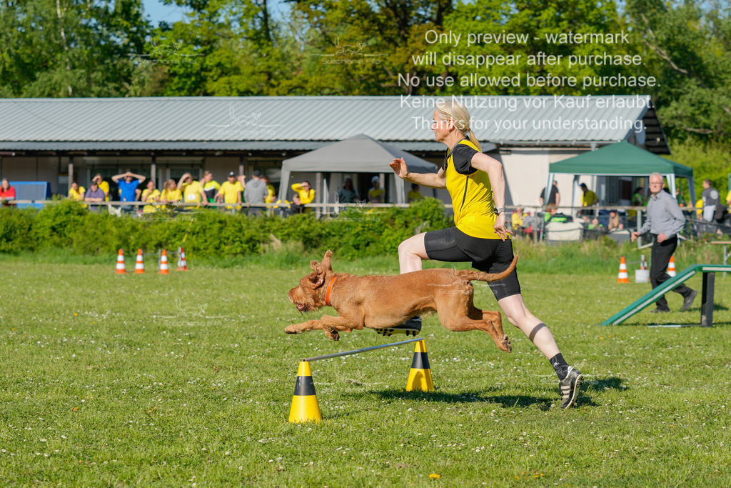 Sa_CSC-457 | stephaniefillaphotographie - Realisiert mit Pictrs.com