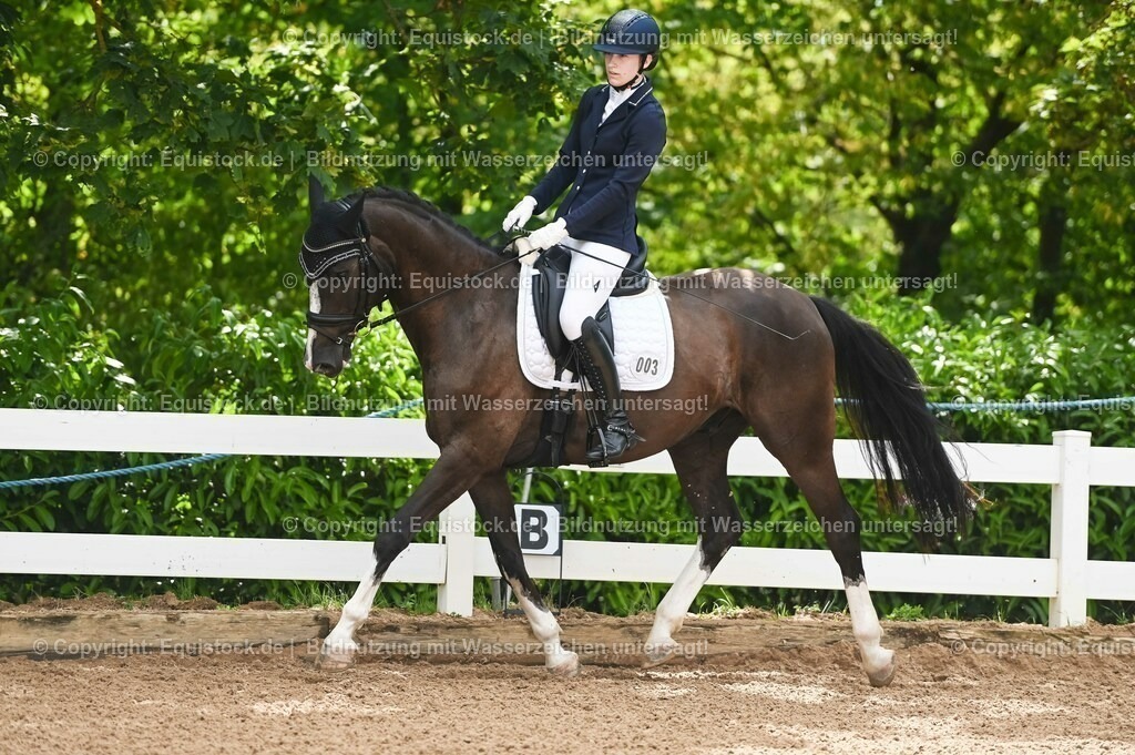 20230715_07_Dressurpferdeprfg. Kl.L_0005 | equistock