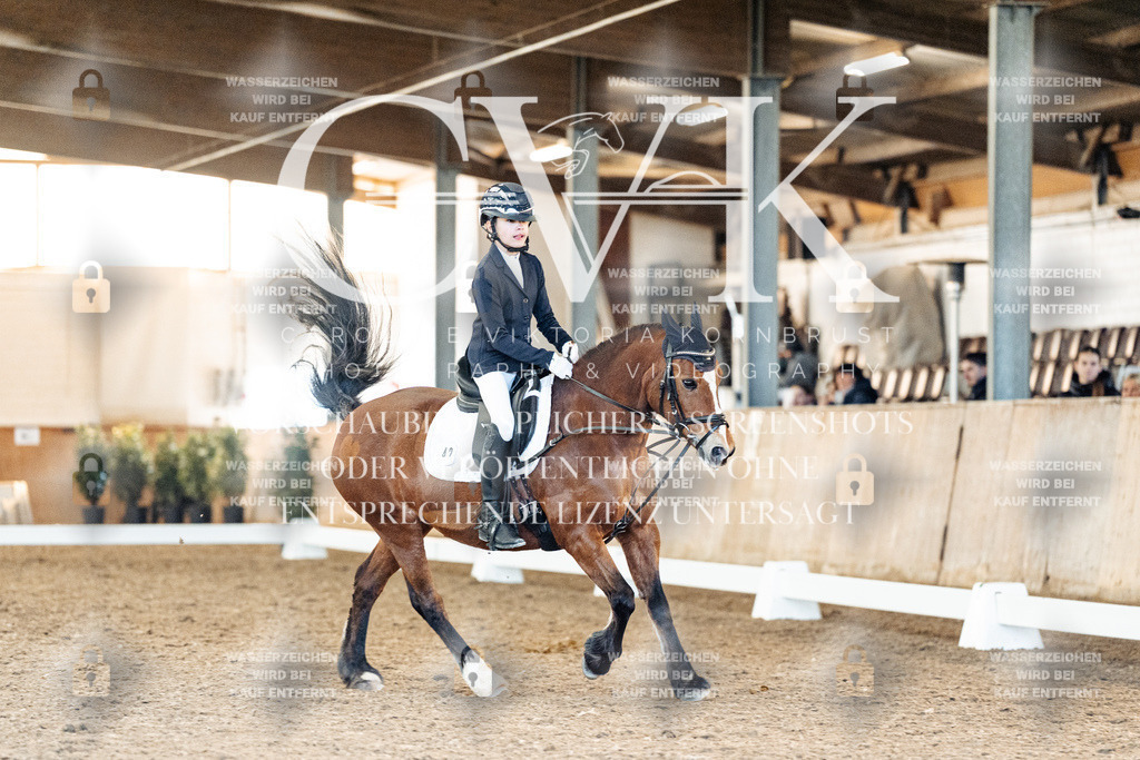 CK907873 | Turnierfotografie Pferdefotografie Trier Rheinland-Pfalz Pferdesport Reitsport Tierfotografie Sportfotografie Pferdevideo Pferdevideografie Equestrianvideography equestrianphotography  - Realisiert mit Pictrs.com
