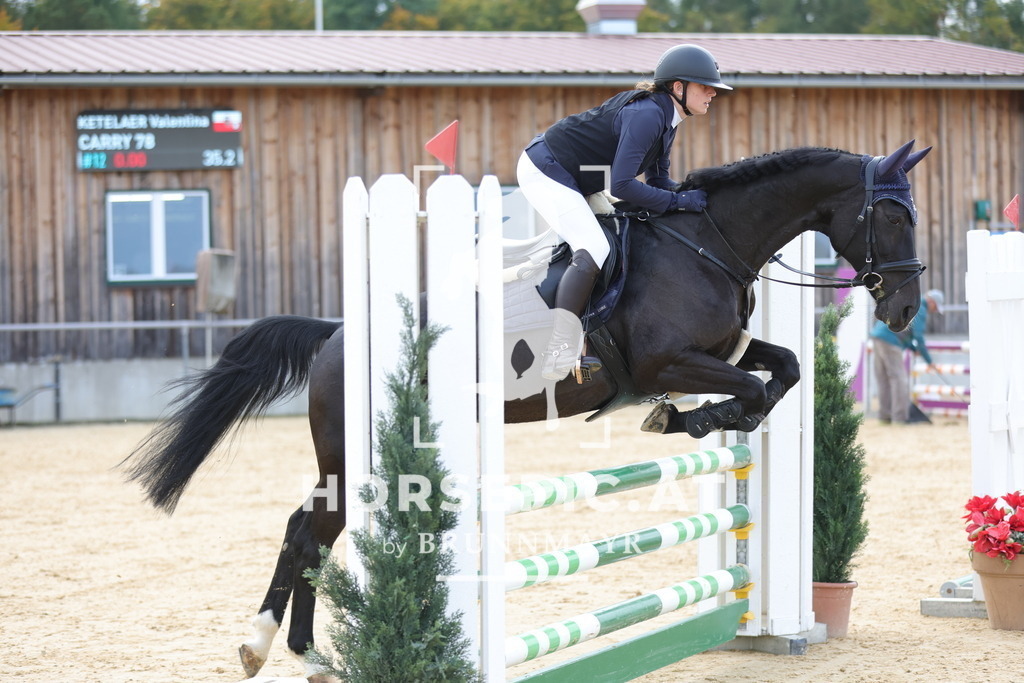 0P6A9434 | Willkommen bei Brunnmayr - Design & Fotografie – Ihrem Spezialisten für Reitturniere und Pferdeveranstaltungen in Oberösterreich, Salzburg und Bayern! Seit über 17 Jahren sind wir leidenschaftlich dabei.