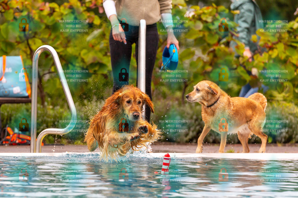 _HP_6117_fullo | HetPix, HetPix Fotodesign, Fotografie, Fotodesign, Webshop, Sportfotografie, Portraitfotografie, Onlineshop, Sportfotografie, Polch, Motorsportfotografie, Eventfotografie