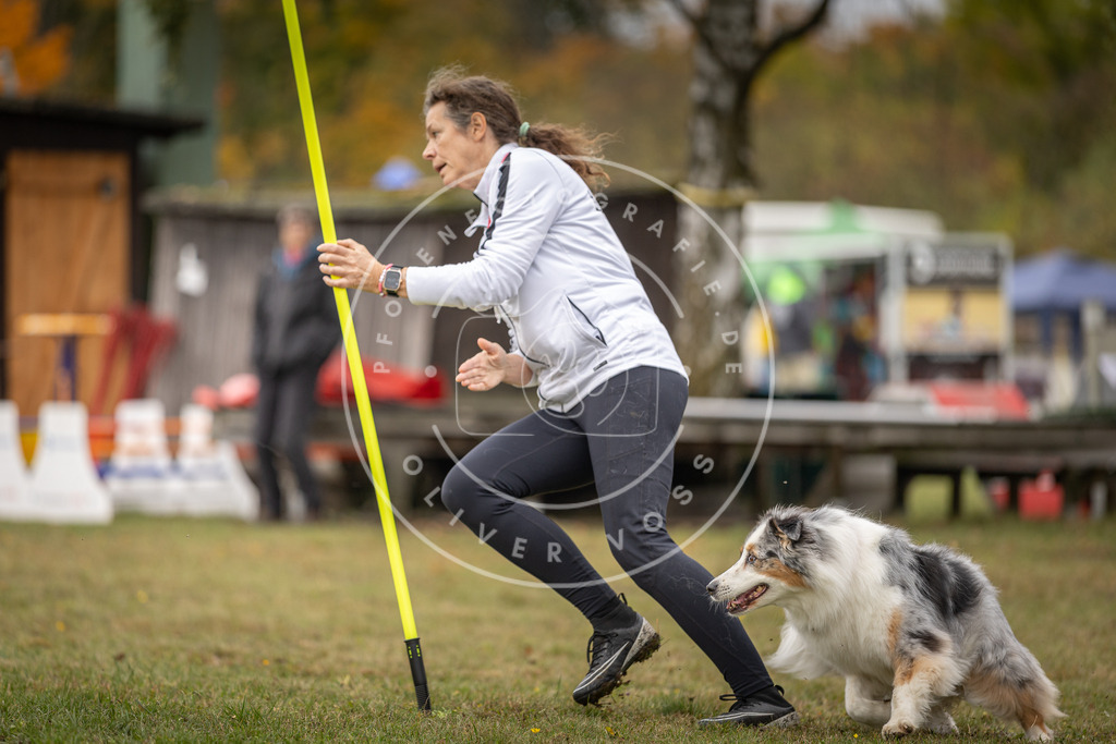 Pfotenfotografie_DV3A5465 | Hundefotografie, Tierfotograf, Pfotenfotografie, Fotoshooting Hund, Hunde Portrait, Hundesport, Hundeportraits, Heideshooting, Hunde, Sportfotograf, Hundefotograf, Turnierhundsport, THS,  - Realisiert mit Pictrs.com