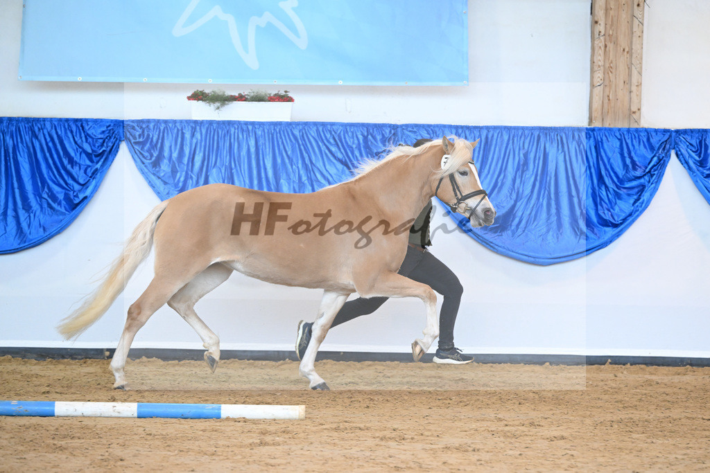 Kat-Nr. 7 Daria v. Armani Ass_Obermaier_60221133 | hf-fotografie - Realisiert mit Pictrs.com