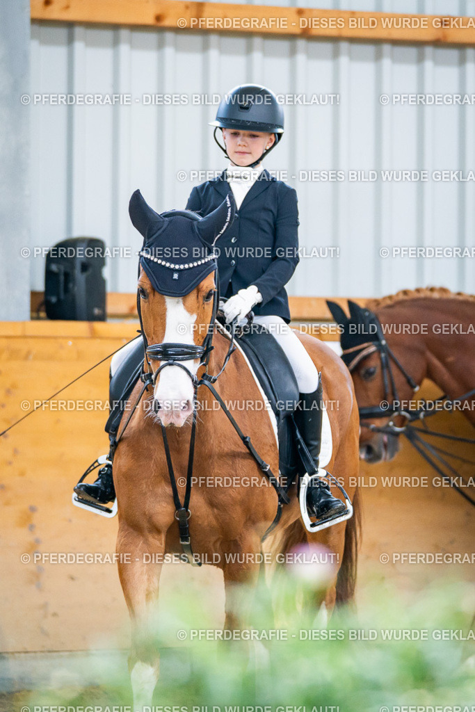 DSC04514 | Pferdegrafie