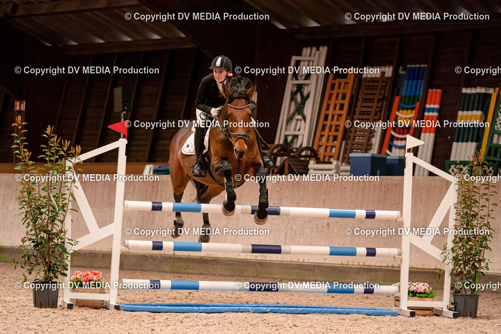 Springen Tag 1-563 | dv-media-shop - Realisiert mit Pictrs.com