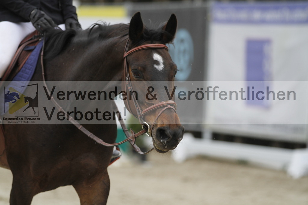 _MG_3053 | equestrian-live-com