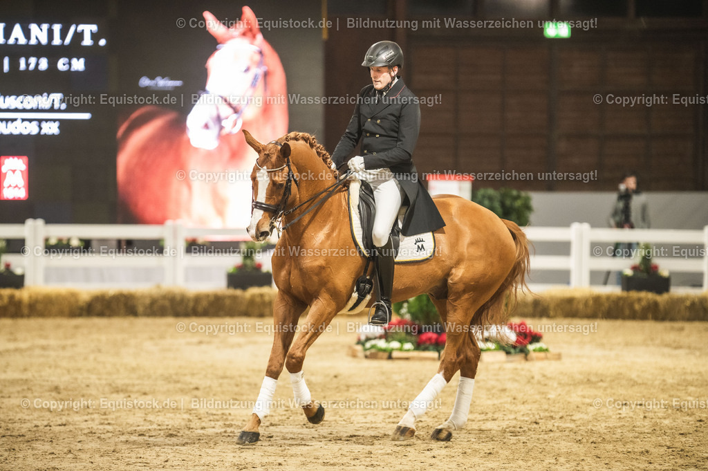 20240302_Hengstvorstellung_Marbach_TOMsPiC_0900 | equistock