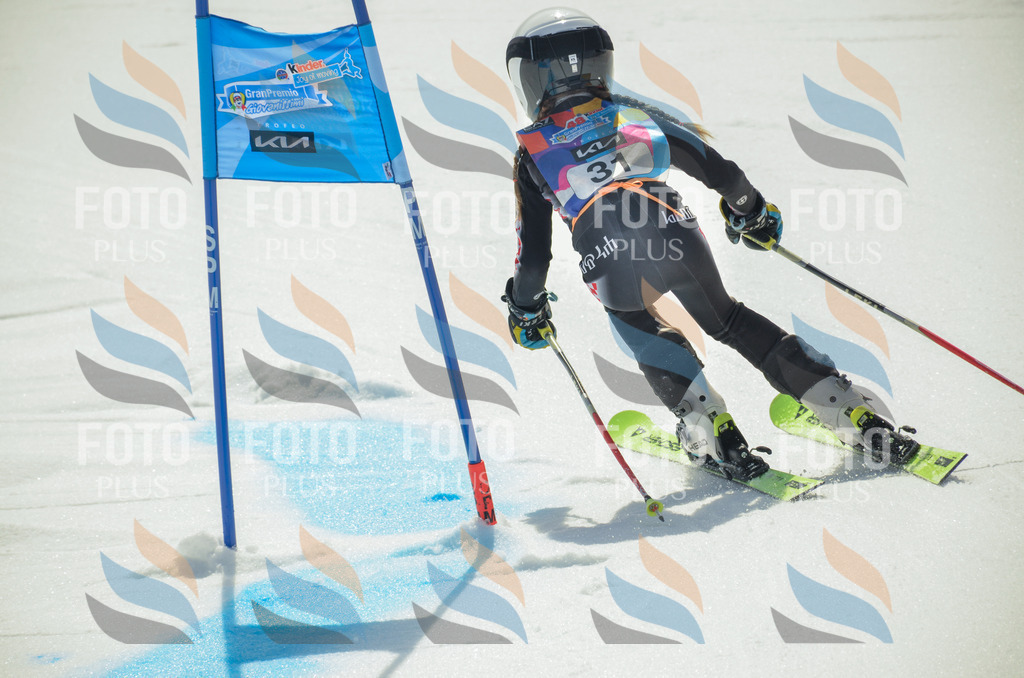 _ELE4890 | holidayphoto