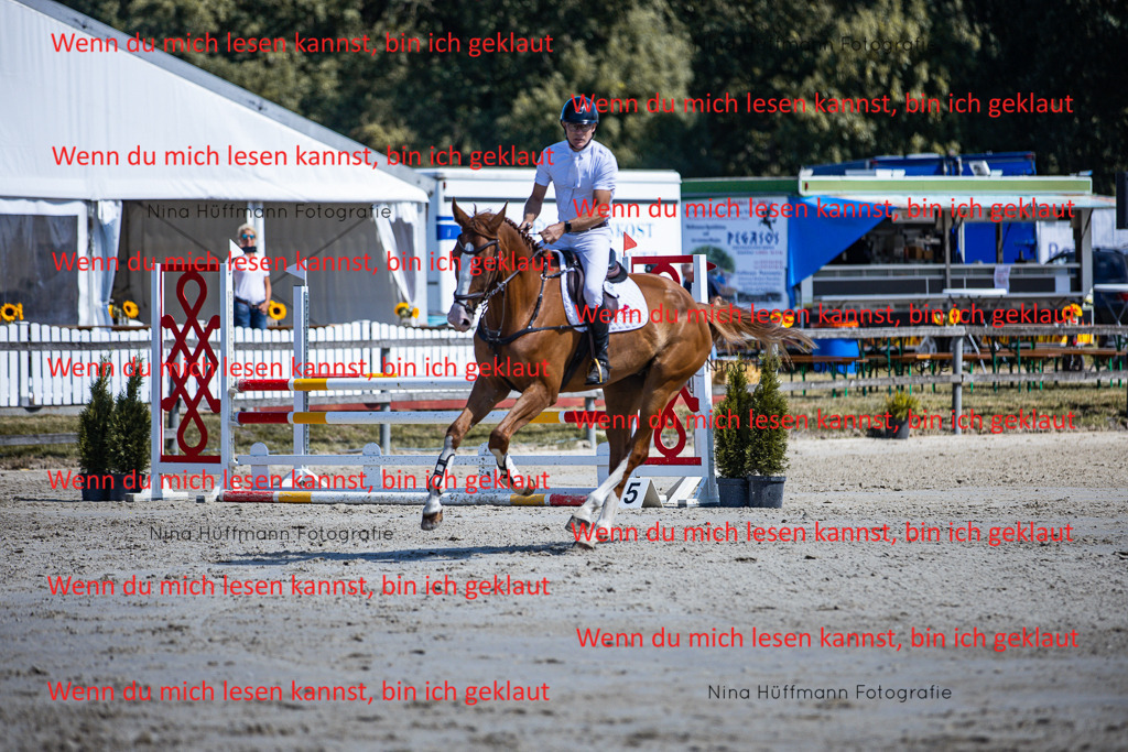 BK1A5447 | Turnierbilder Turnierfotos Nina Hüffmann Turnierfotografie Pferdefotografie Tierzeichnung Haustierzeichnung Pferdezeichnung Hundezeichnung Videograf  - Realisiert mit Pictrs.com