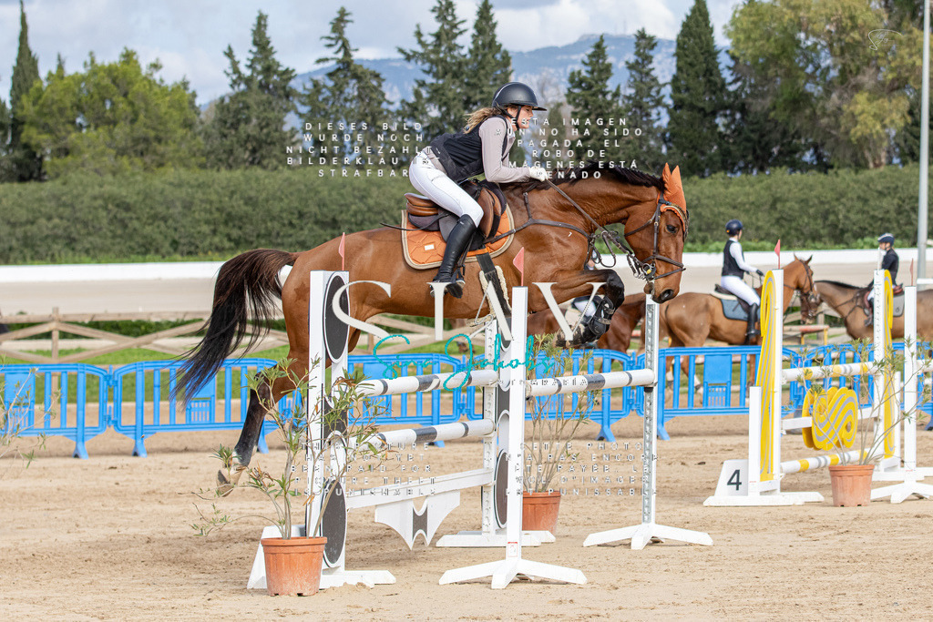 IMG_3157 | s-jay-photography - Realisiert mit Pictrs.com