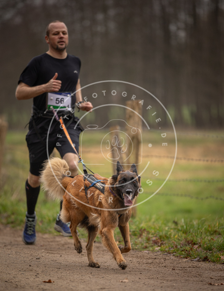 Pfotenfotografie_DV3A3072 | Hundefotografie, Tierfotograf, Pfotenfotografie, Fotoshooting Hund, Hunde Portrait, Hundesport, Hundeportraits, Heideshooting, Hunde, Sportfotograf, Hundefotograf, Turnierhundsport, THS,  - Realisiert mit Pictrs.com