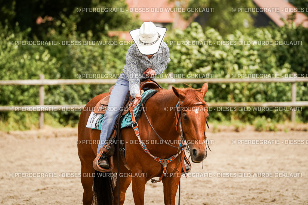 DSC00627 | Pferdegrafie