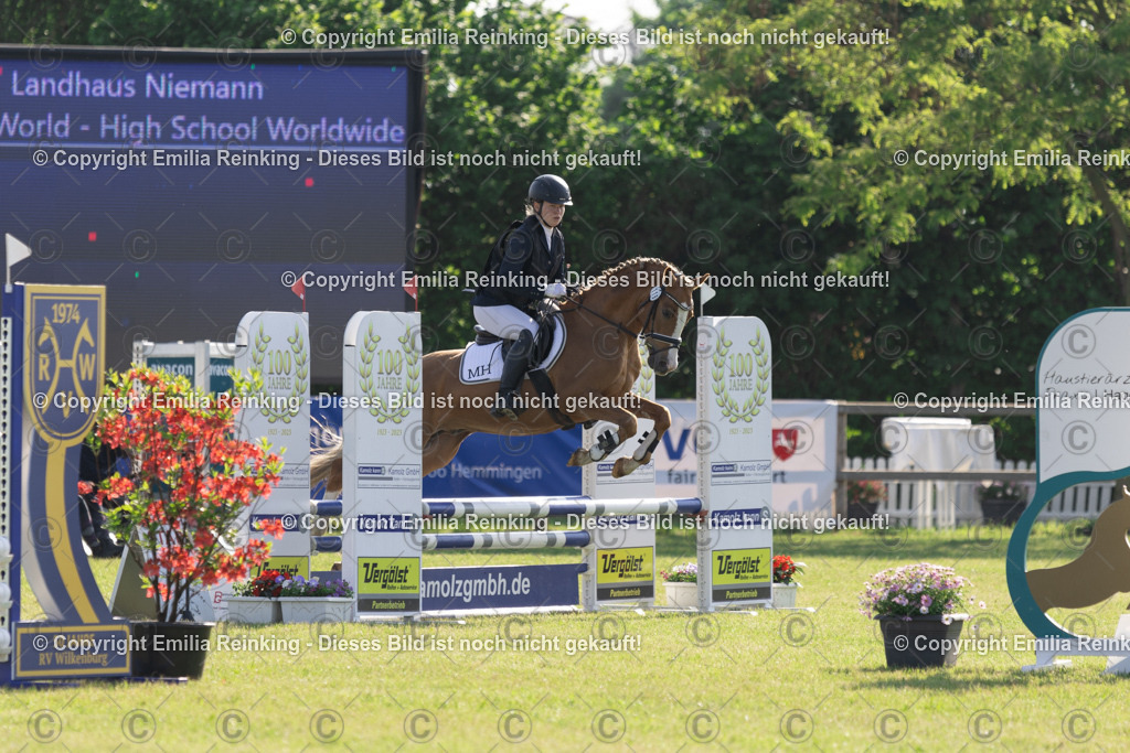 CL5A0301 | Emilia Reinking Fotografie - Realisiert mit Pictrs.com