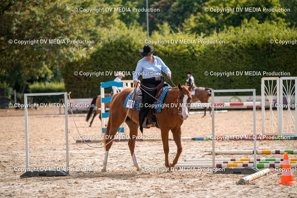 ZS3_9377 | dv-media-shop - Realisiert mit Pictrs.com