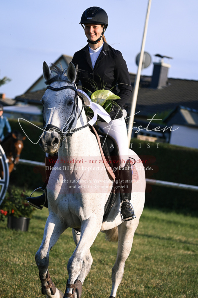 DSC_1939 | Pferde- und Turnierfotografie in Westsachsen. Pferdeportraits, Auftragszeichnungen und intuitive Kunst.