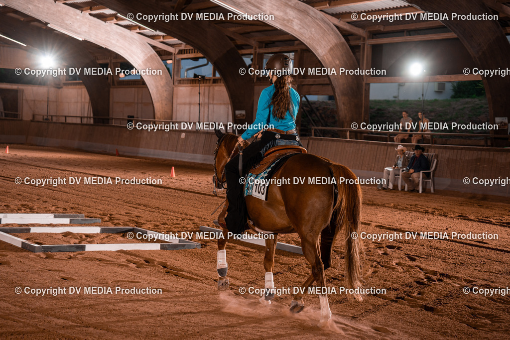 NE201517 | dv-media-shop - Realisiert mit Pictrs.com