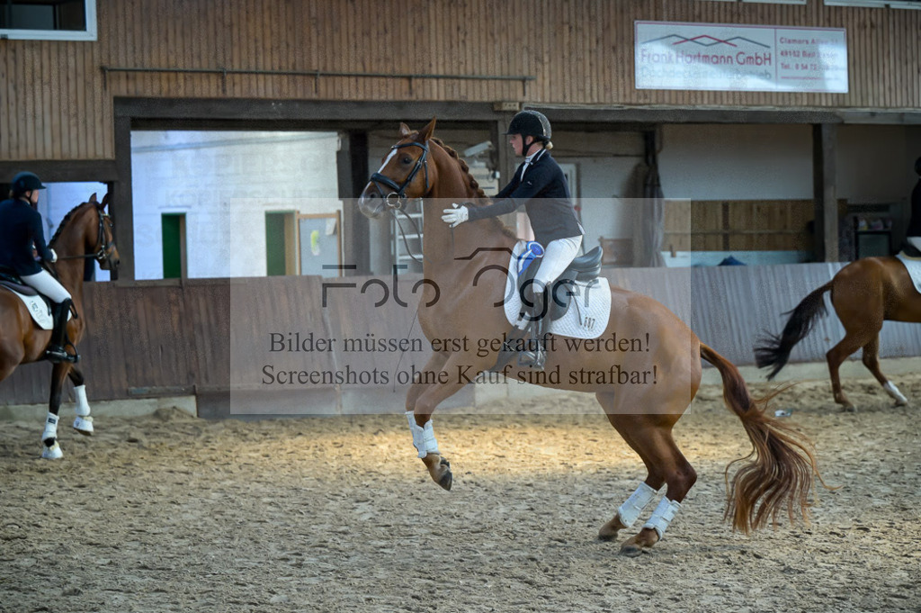Reitturnier Voxtrup | Entdecke hochwertige Reitturnierfotos von Foto Oger. Professionell, emotional und authentisch – jetzt Lieblingsmomente im Shop bestellen.Deutschlandweite Turnierfotografie. - Realisiert mit Pictrs.com