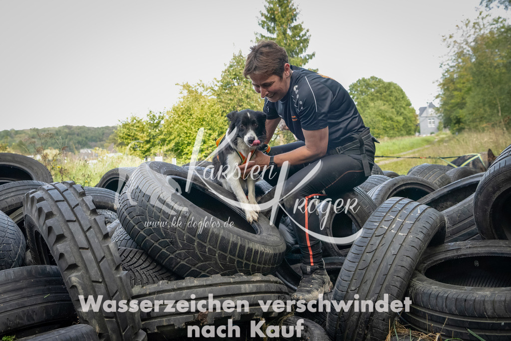 1503_ZZ90953-Bearbeitet | kk-dogfotos