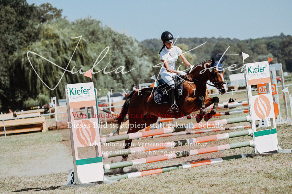 DSC_9883 | Pferde- und Turnierfotografie in Westsachsen. Pferdeportraits, Auftragszeichnungen und intuitive Kunst.