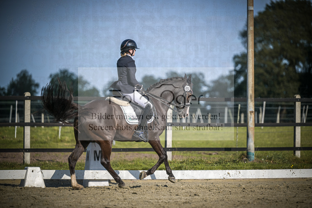 DOS_3242 | Entdecke hochwertige Reitturnierfotos von Foto Oger. Professionell, emotional und authentisch – jetzt Lieblingsmomente im Shop bestellen.Deutschlandweite Turnierfotografie. - Realisiert mit Pictrs.com