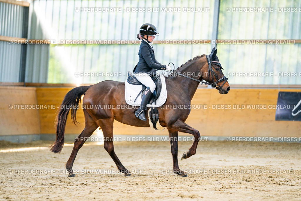 DSC06388 | Pferdegrafie