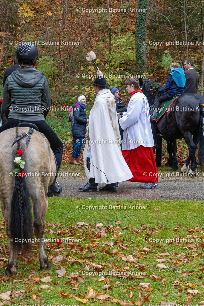 LL25-199 | foto-bettina-krinner - Realisiert mit Pictrs.com
