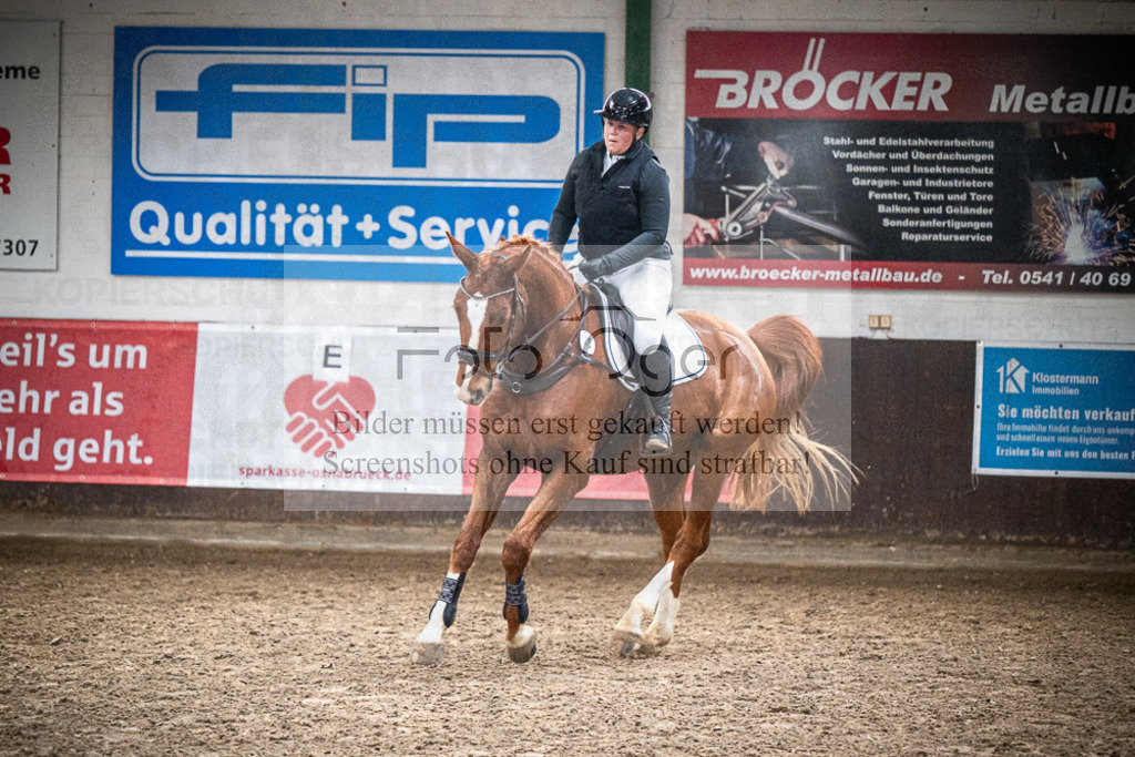 DOS_0794 | Entdecke hochwertige Reitturnierfotos von Foto Oger. Professionell, emotional und authentisch – jetzt Lieblingsmomente im Shop bestellen.Deutschlandweite Turnierfotografie. - Realisiert mit Pictrs.com