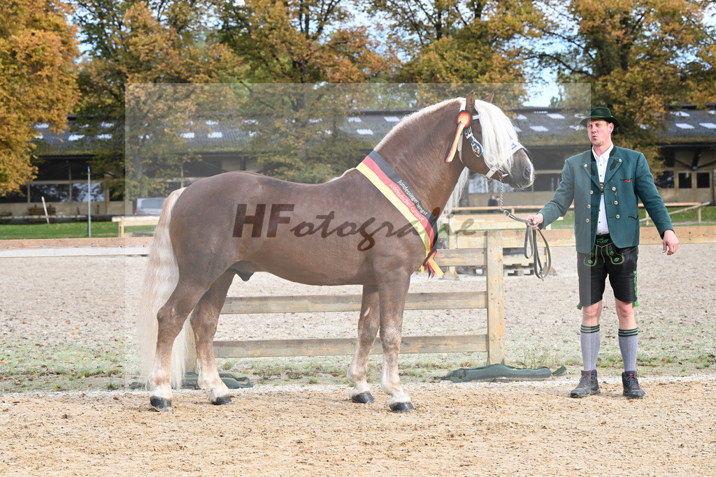 Kat-Nr. 90 Venturin_Hollinger u Ober_53223102 | hf-fotografie - Realisiert mit Pictrs.com